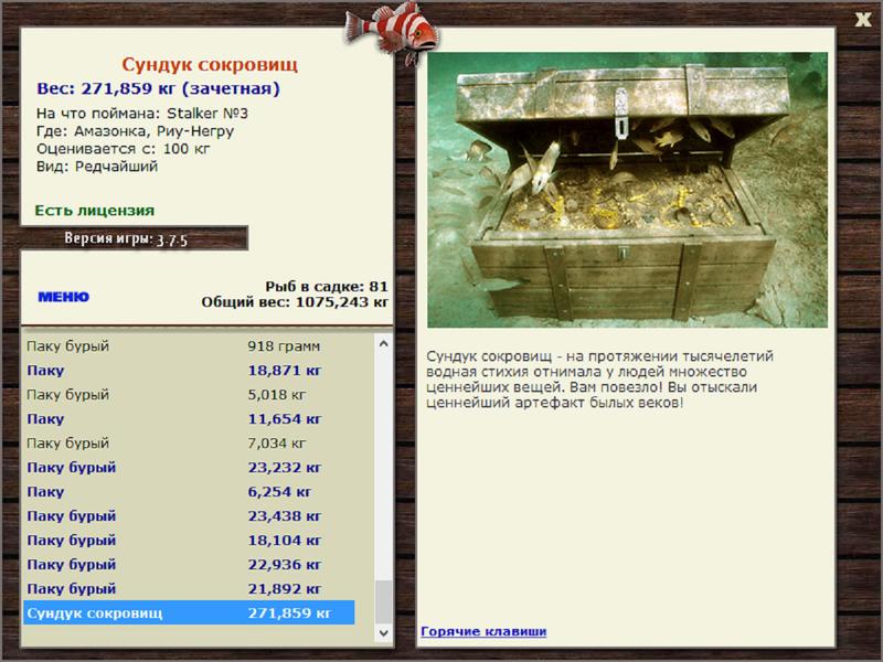 Сундук сокровищ 