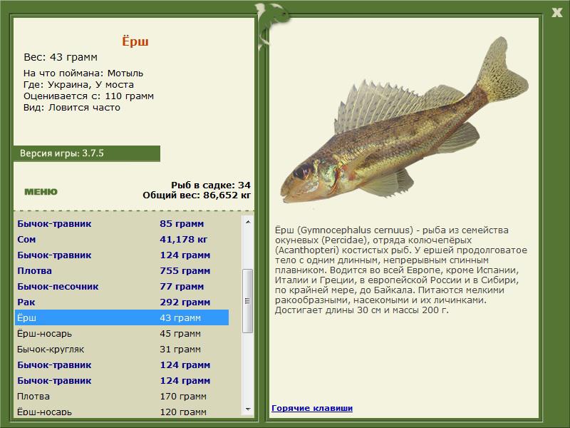 РУССКАЯ РЫБАЛКА Installsoft Edition 