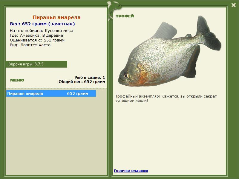 В деревне 