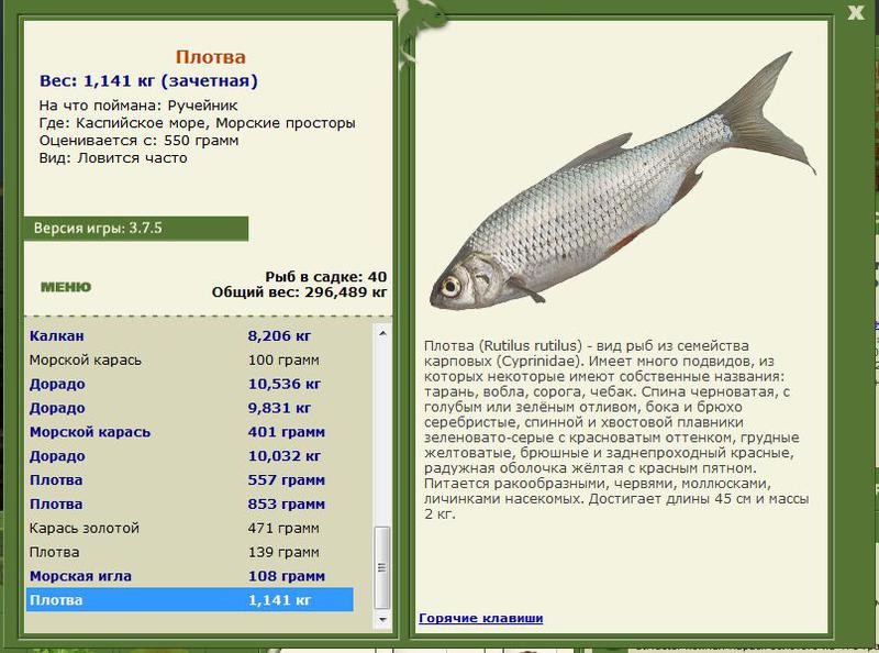 РУССКАЯ РЫБАЛКА Installsoft Edition 
