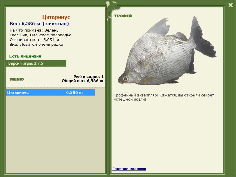 Нильское половодье 