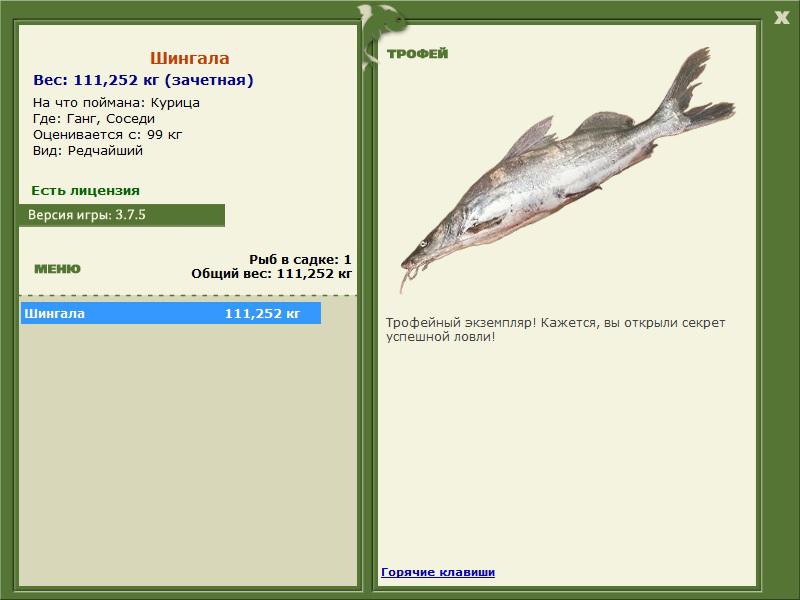 Соседи 