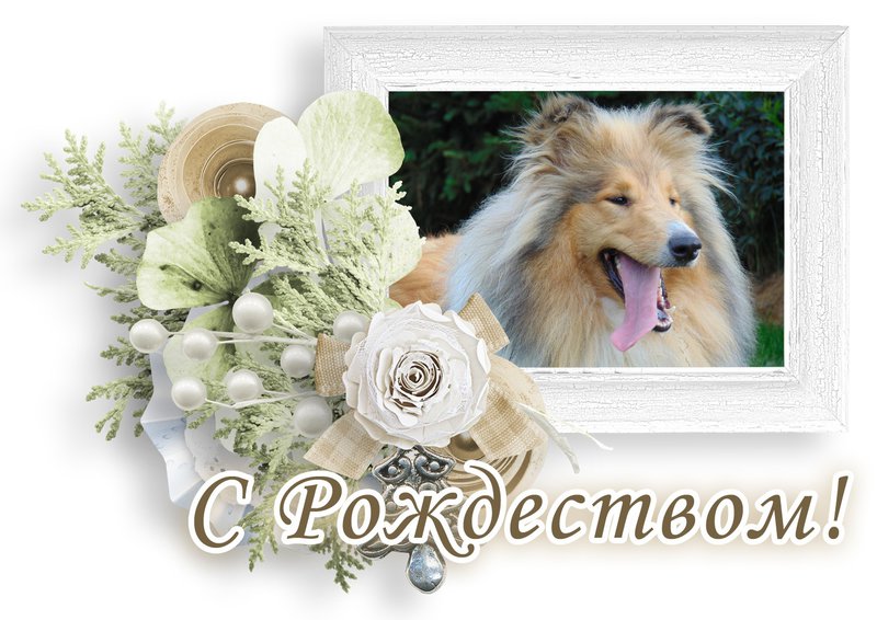  Я - Горесь Галина