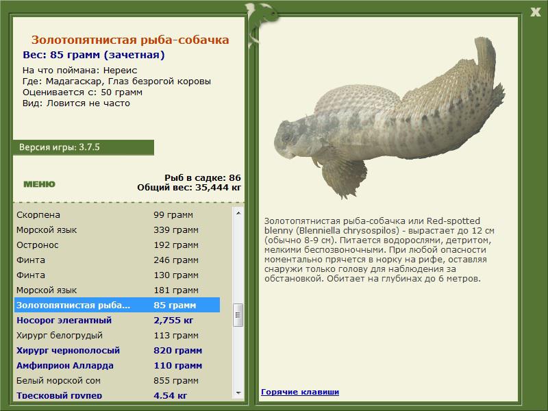 РУССКАЯ РЫБАЛКА Installsoft Edition 