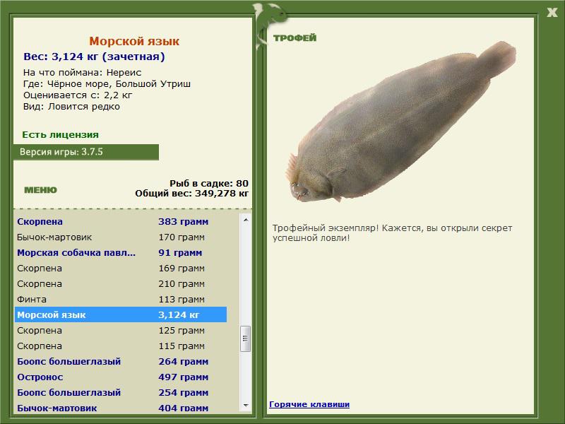 Морской язык 
