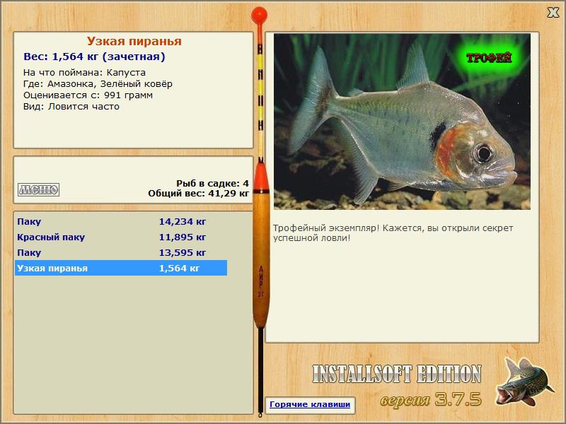 Зелёный ковёр 