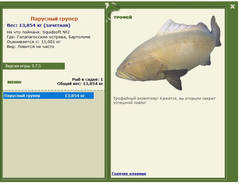 Парусный групер 