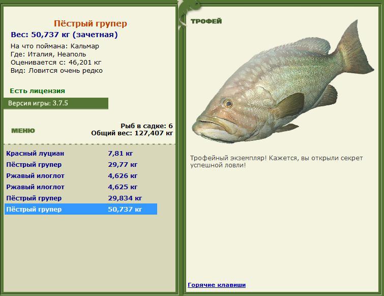 турниры • РУССКАЯ РЫБАЛКА