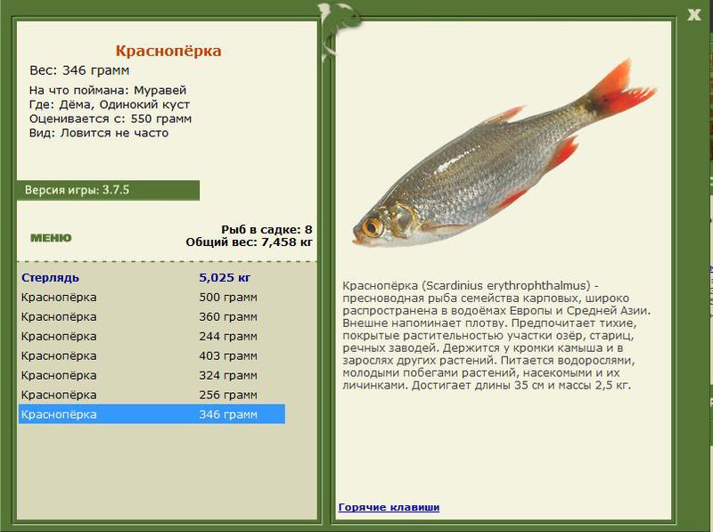 РУССКАЯ РЫБАЛКА Installsoft Edition 