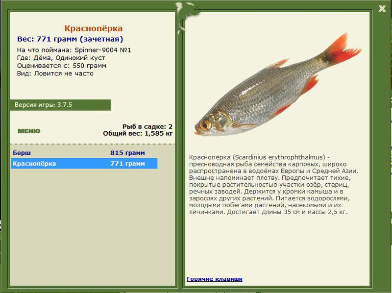 РУССКАЯ РЫБАЛКА Installsoft Edition 
