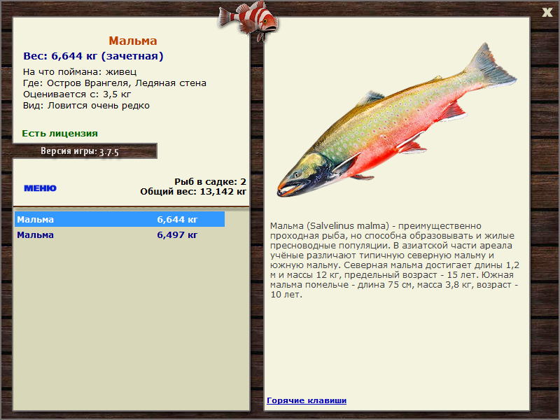 Ледяная стена 