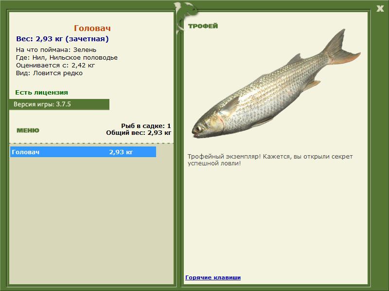 РУССКАЯ РЫБАЛКА Installsoft Edition 