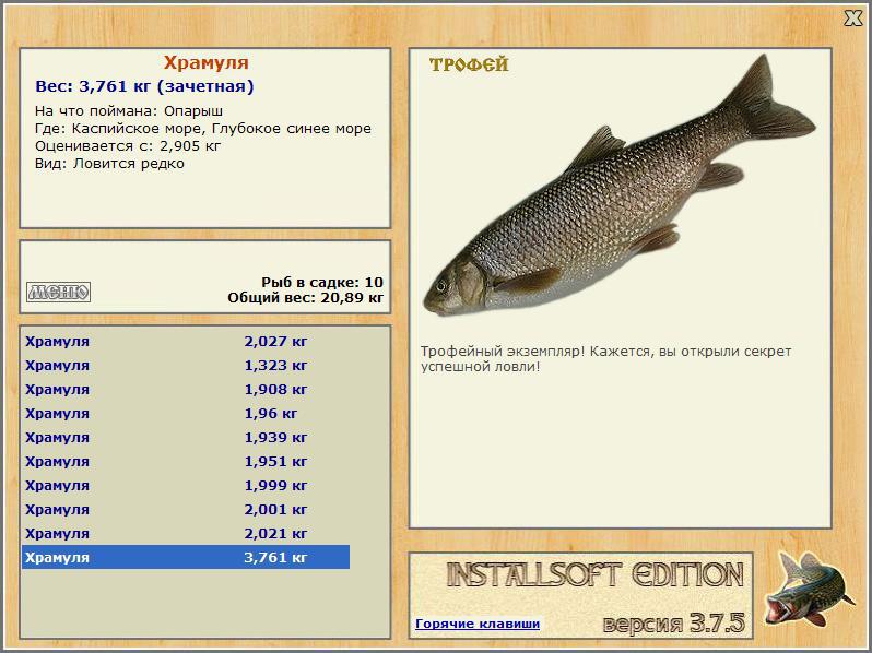 Глубокое синее море 