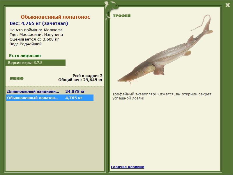 Излучина 