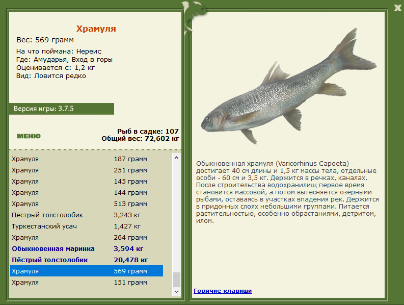 РУССКАЯ РЫБАЛКА Installsoft Edition 