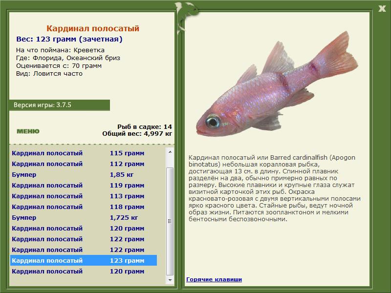 Океанский бриз 