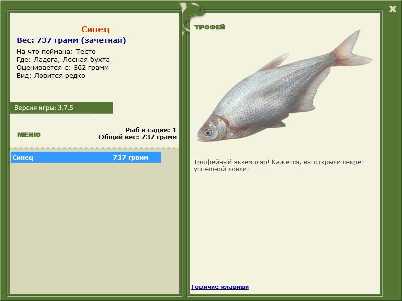 Лесная бухта 