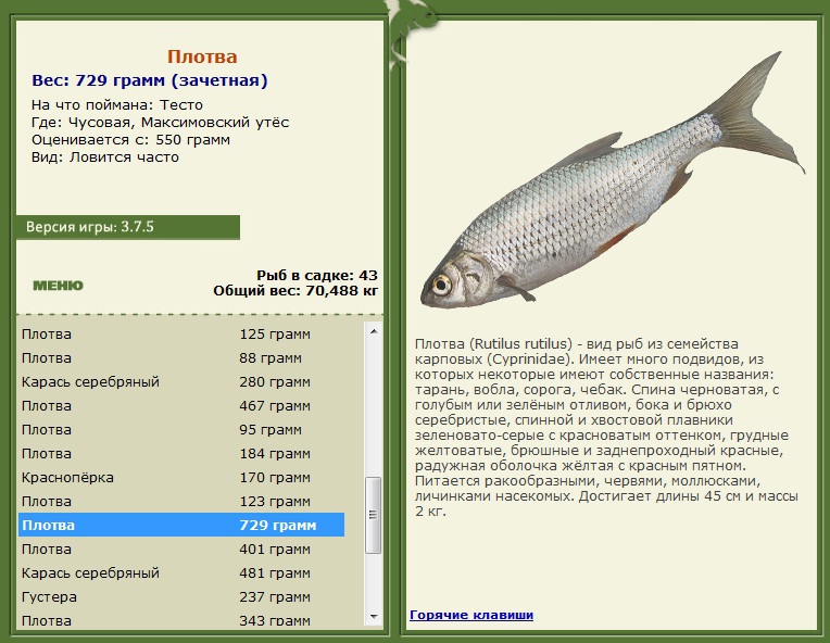 Чусовая 
