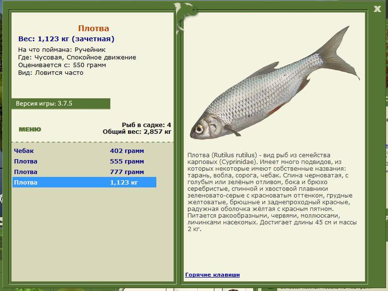 РУССКАЯ РЫБАЛКА Installsoft Edition 