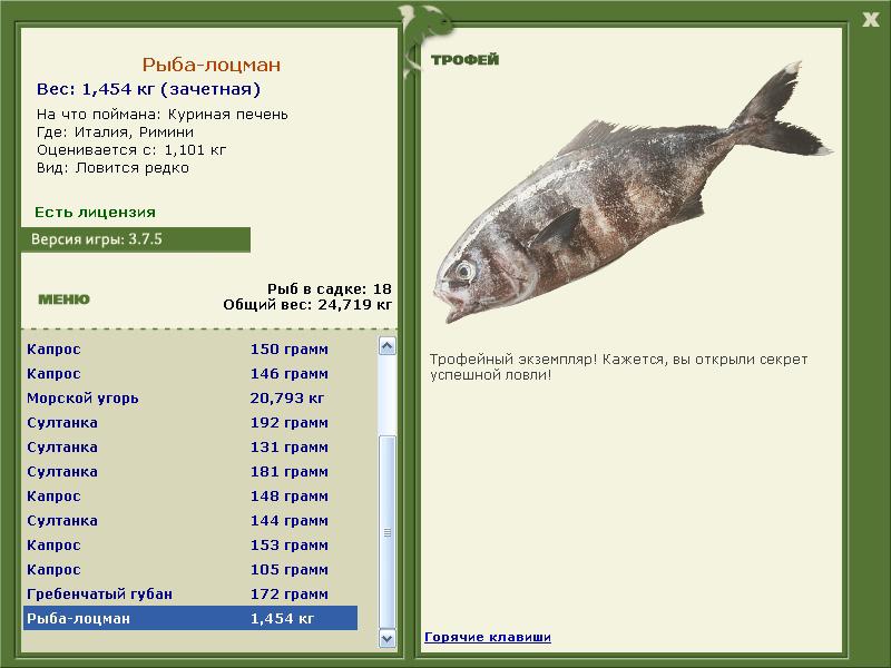 лоцман • Рыбы • РУССКАЯ РЫБАЛКА