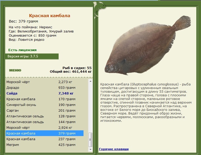 Хмурый залив 