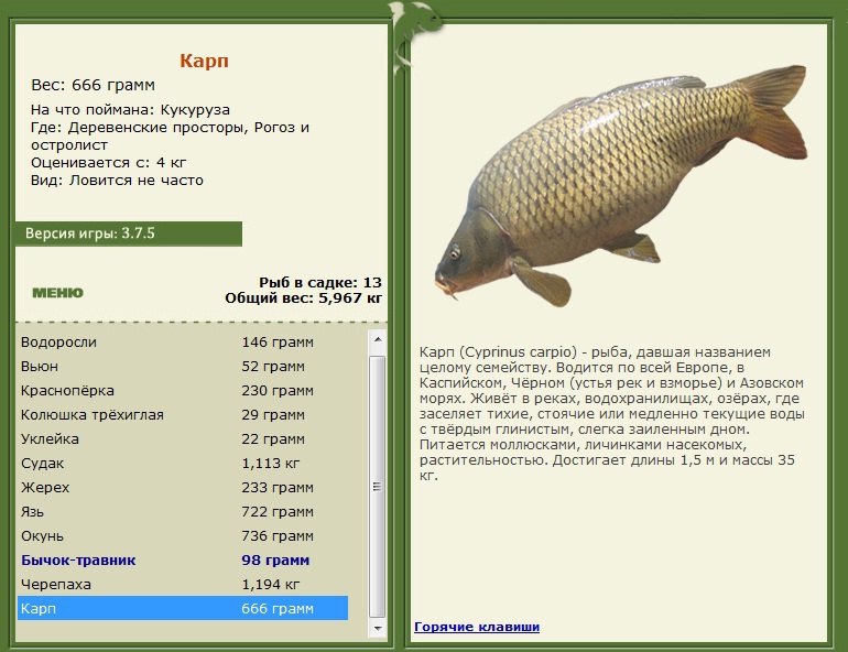 турниры • РУССКАЯ РЫБАЛКА