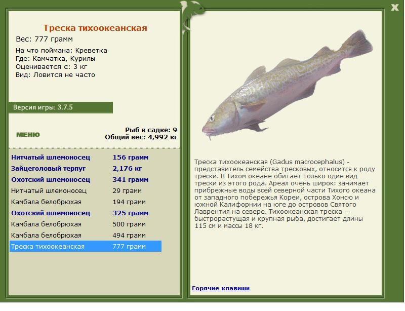 турниры • РУССКАЯ РЫБАЛКА