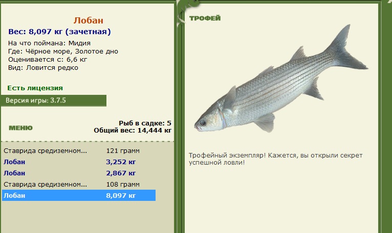 Золотое дно 