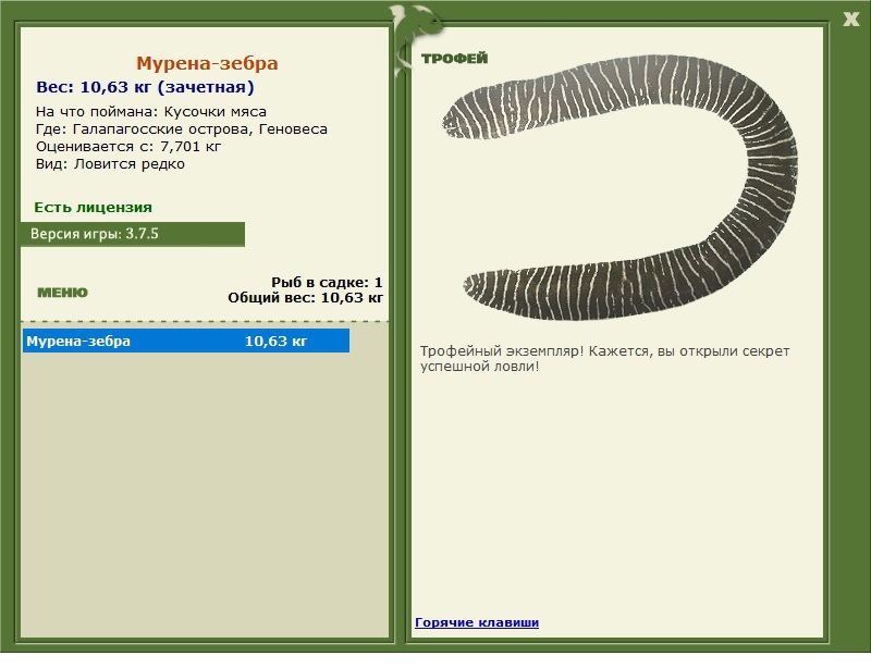 зебра • Рыбы • РУССКАЯ РЫБАЛКА
