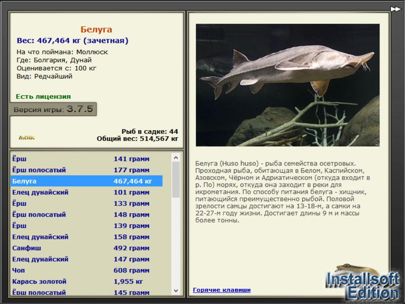  Максимальный Вес • Praise-турниры • РУССКАЯ РЫБАЛКА
