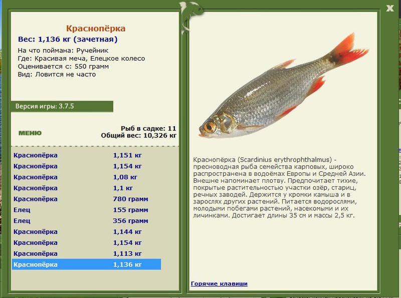 РУССКАЯ РЫБАЛКА Installsoft Edition 