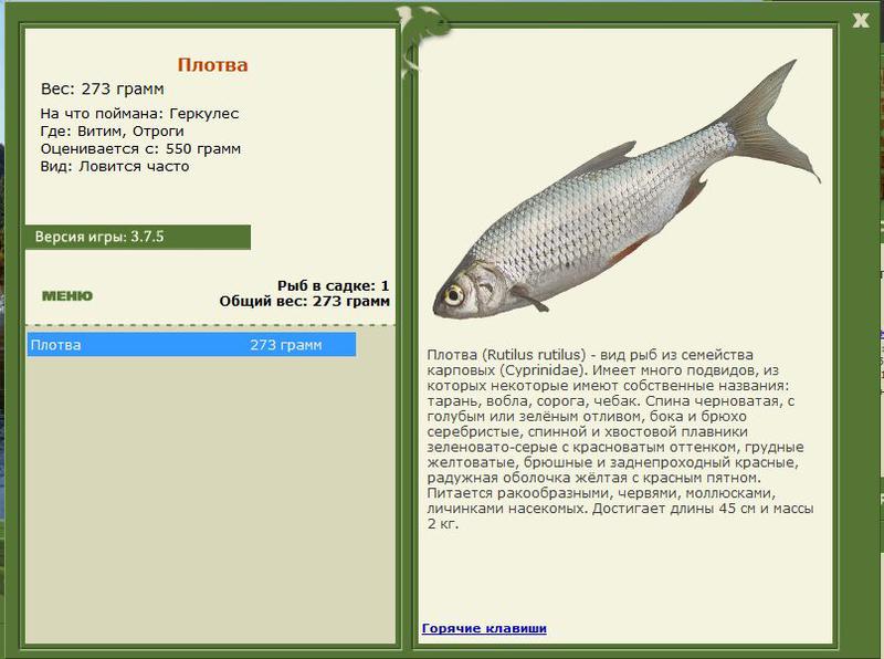 РУССКАЯ РЫБАЛКА Installsoft Edition 