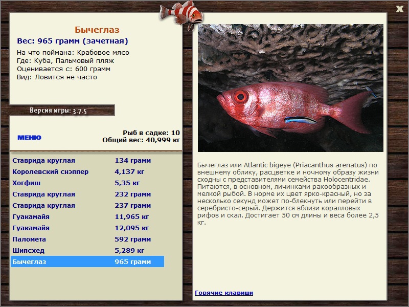 Пальмовый пляж 
