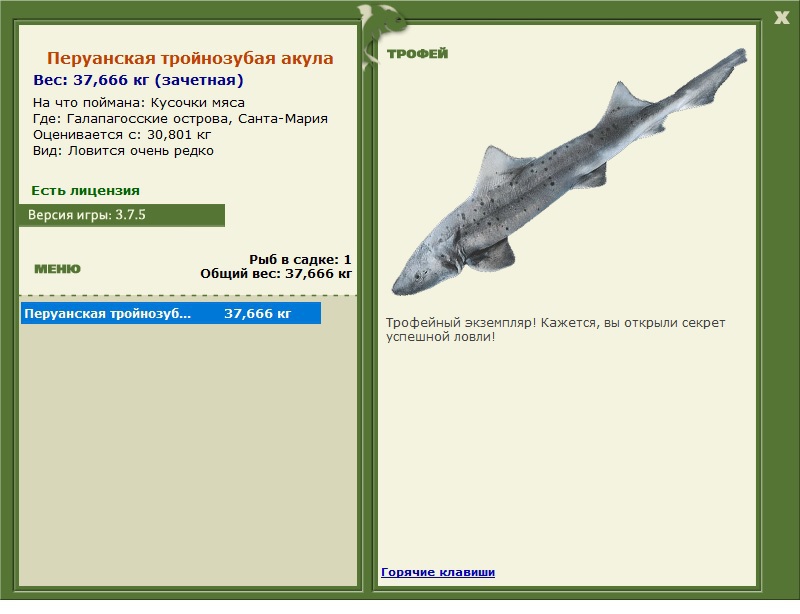 Перуанская тройнозубая акула 