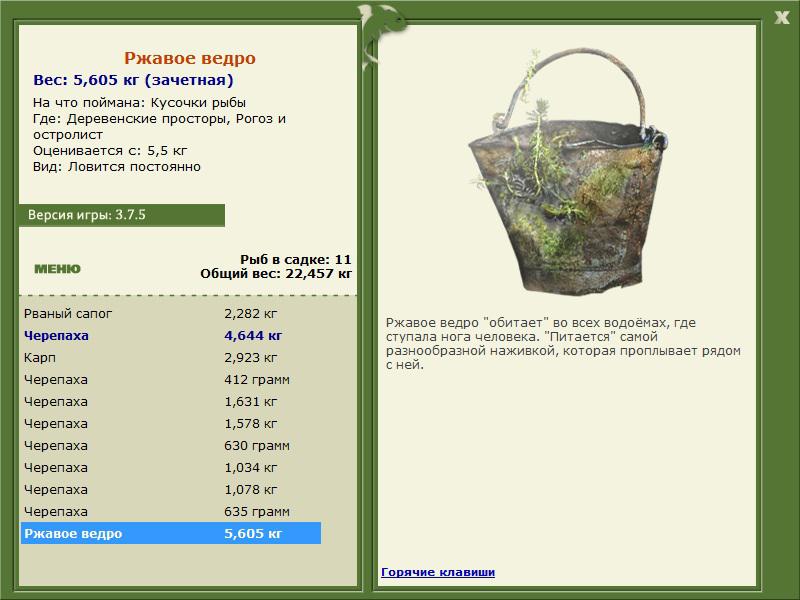 Ржавое ведро 