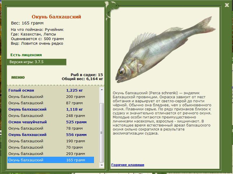 РУССКАЯ РЫБАЛКА Installsoft Edition 