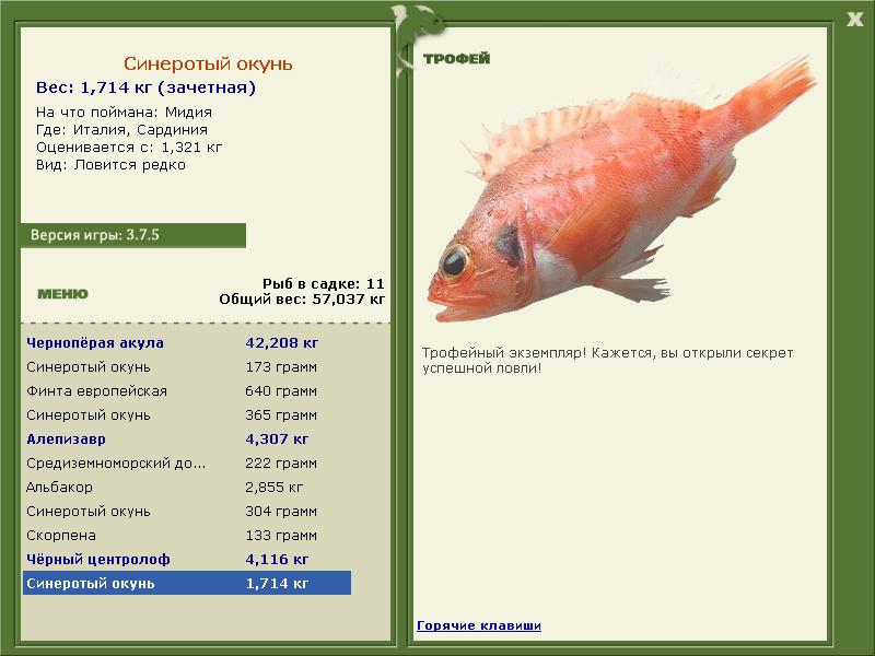 Синеротый окунь 