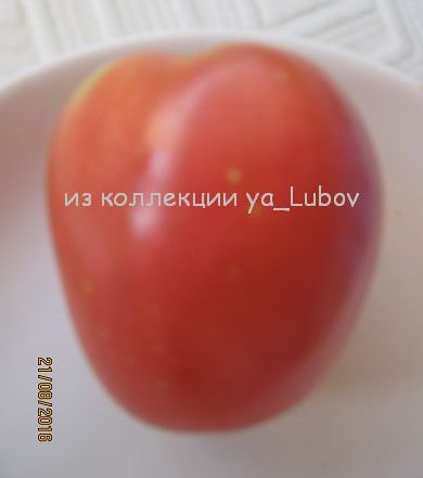 ����� ����
