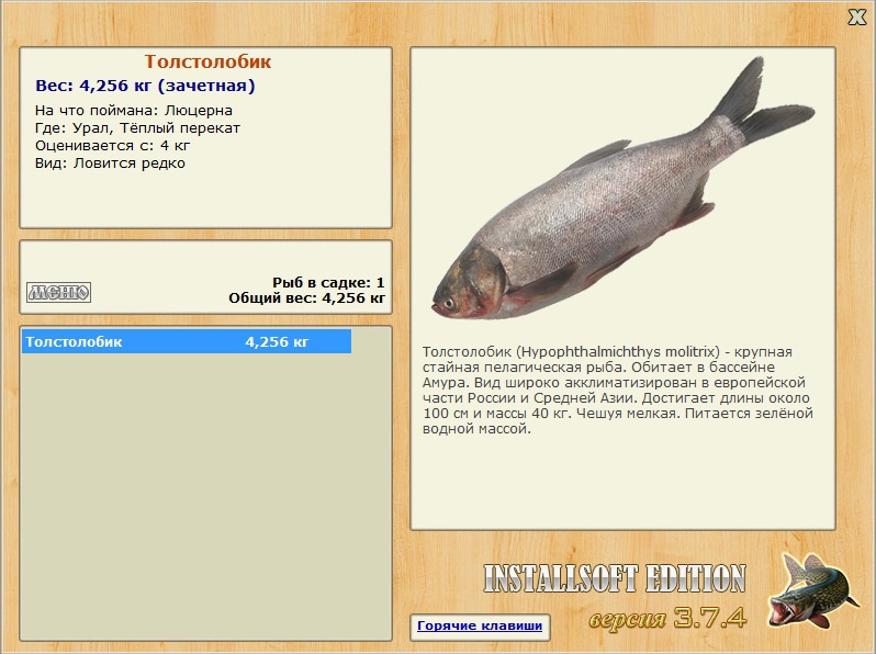Тёплый перекат 