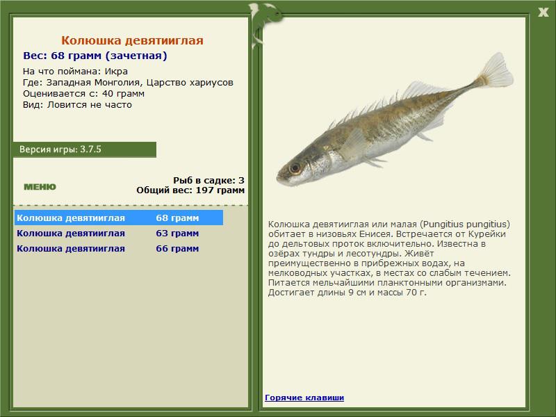 Царство хариусов 