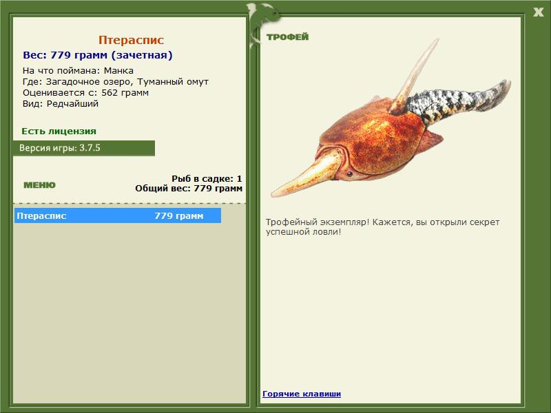 Туманный омут 