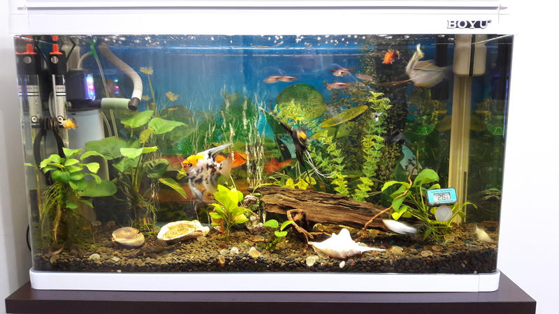  Редактировать сообщение