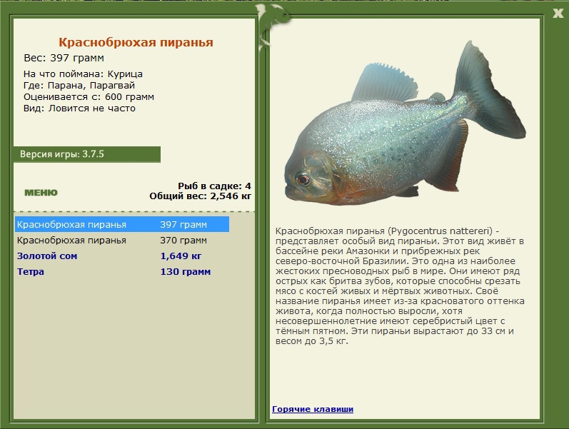 Парагвай 