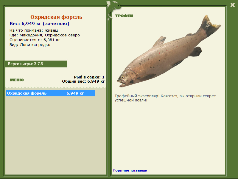 Охридское озеро 