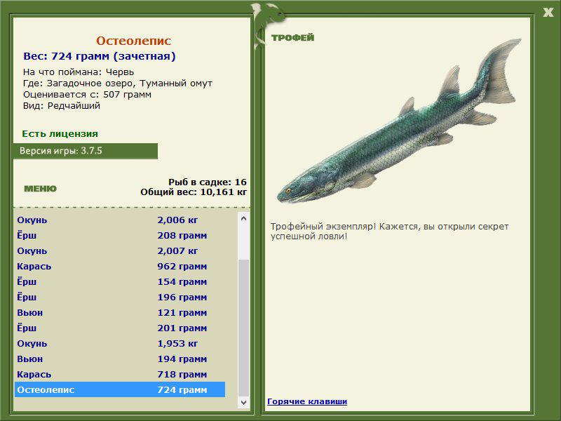 турниры • РУССКАЯ РЫБАЛКА