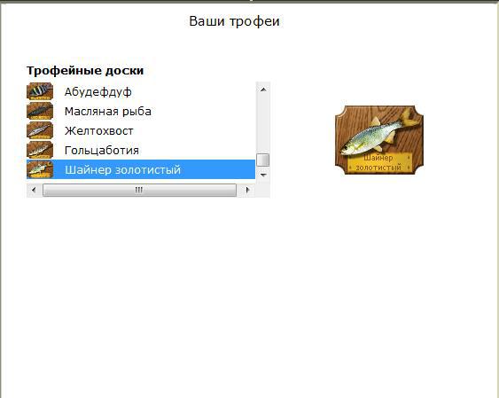 турниры • РУССКАЯ РЫБАЛКА