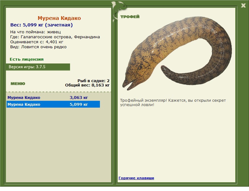 Мурена Кидако 