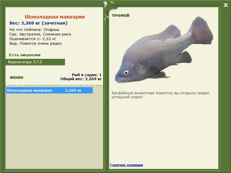 Снежная река 