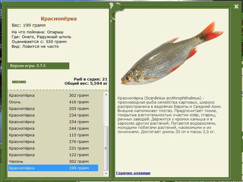 РУССКАЯ РЫБАЛКА Installsoft Edition 