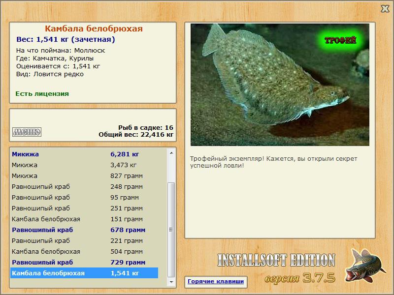 Камбала белобрюхая 